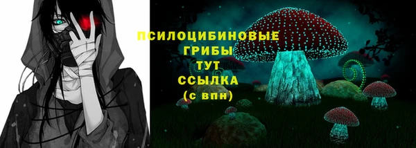 синтетический гашиш Алексин