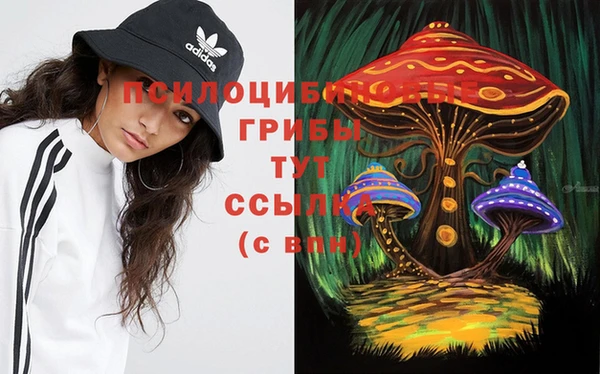 крисы Алзамай