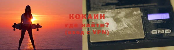 прущие грибы Абинск