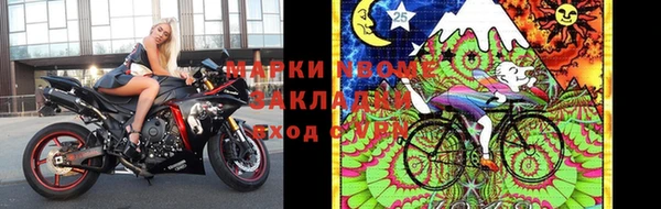 крисы Алзамай