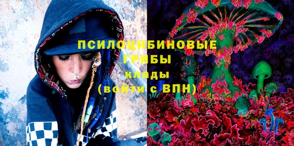 крисы Алзамай