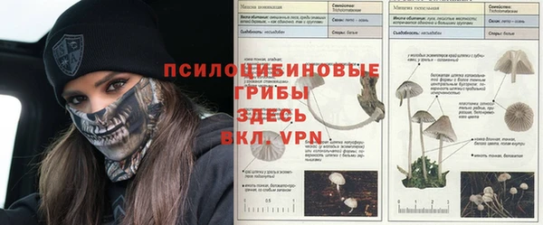 синтетический гашиш Алексин